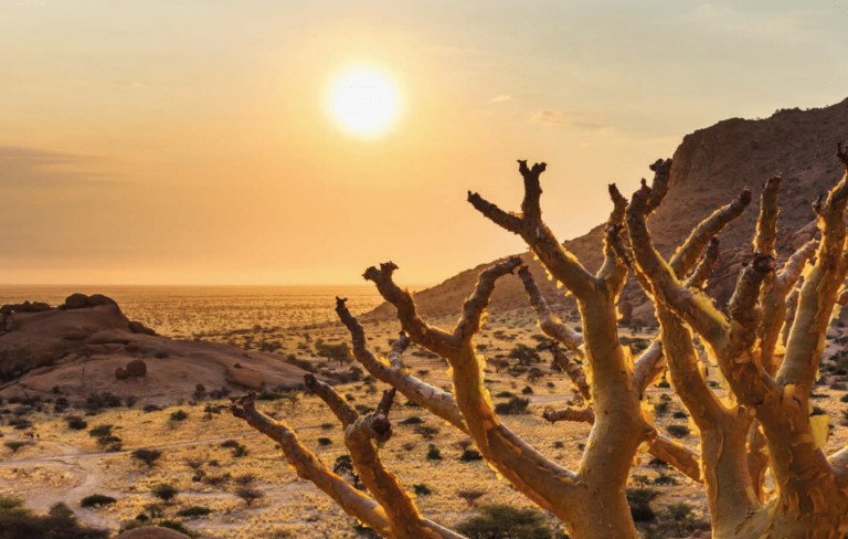 Namibia desert