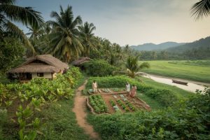 Goa’s Secret Plan to Transform Tourism Just Got Approved—Here’s What Changes for Visitors