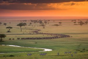 Safari tourists trapped by flash floods in Serengeti as emergency rescues unfold across Tanzania