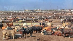 Scientists discover unexpected way to slow methane’s climate damage using temporary CO2 capture