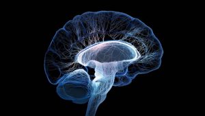 Scientists discover why your cells age faster after 40—and the breakthrough that stops it