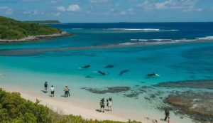 Sri Lanka Tourism Quietly Hits 600,000 Visitors as Four Countries Fuel Unexpected Recovery