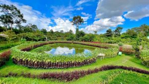 This hidden Angkor garden drew 600,000 visitors in 3 years—yet nobody’s talking about it